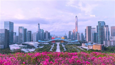 上海喝茶wx:一个别具特色的茶文化体验 上海喝茶wx:一个别具特色的茶文化体验